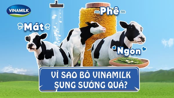 Bạn biết gì về công ty Vinamilk tại Việt Nam